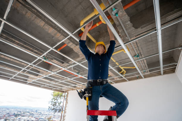 Best Same-Day Plumbing Service  in Canton, IL